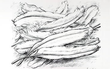 Kunststyrelsen Hca5 S